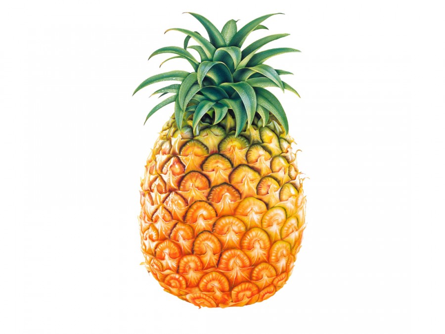 Толстый ананас - картинка №8605