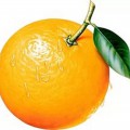 Апельсин с листиком - картинка №12129