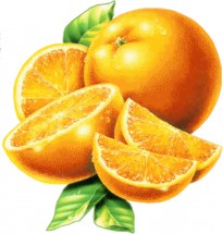 Дольки апельсина - картинка					№12776