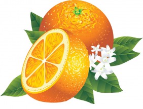 Полтора апельсина с цветочком - картинка					№10433