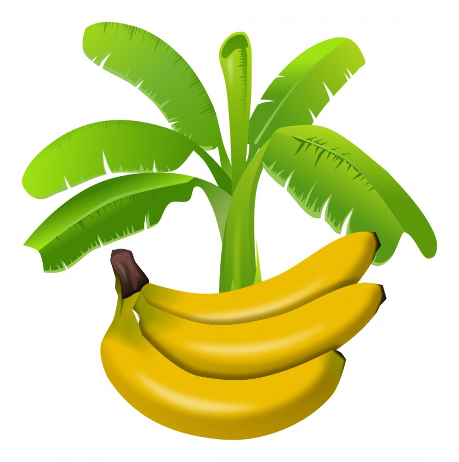 Банан и зелень - картинка №13456
