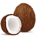 Большой кокос - картинка №11882