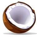 Мякоть кокоса - картинка №12850