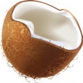 Половинка кокоса - картинка №10279