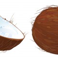 Полтора кокоса - картинка №13294