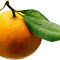 Мандарин похож на апельсин - картинка №8729