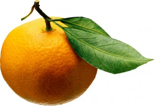 Мандарин похож на апельсин - картинка					№8729