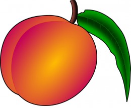 Персик похож на абрикос - картинка					№10370