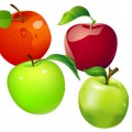 Много разноцветных яблок - картинка №11306
