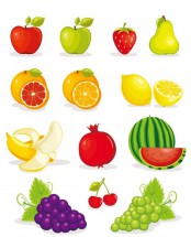 Разноцветные фрукты - картинка					№9650