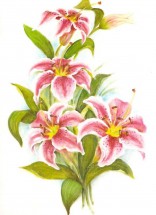 Четыре розовые лилии - картинка					№12858