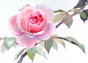 Бутон розовой розы - картинка					№11644