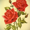 Две розы для тату - картинка №13216