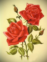 Две розы для тату - картинка					№13216