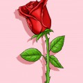 Красная роза на розовом фоне - картинка №13640