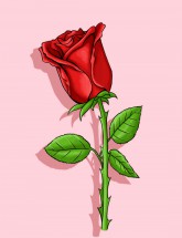 Красная роза на розовом фоне - картинка					№13640