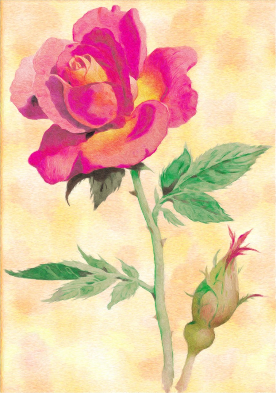 Роза акварелью - картинка №12844