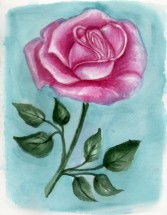 Розовая роза на голубом фоне - картинка					№13786