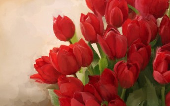 Алый букет тюльпанов - картинка					№7460