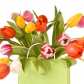 Разноцветные тюльпаны в пакете - картинка №12934