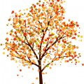 Клен с разноцветными листьями - картинка №12266