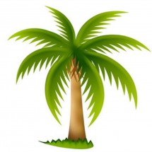 Нежная пальма - картинка					№11511