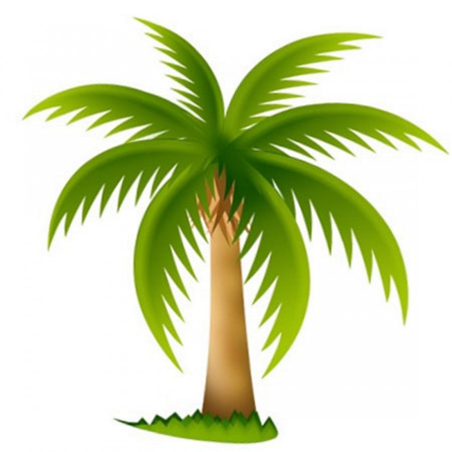 Нежная пальма - картинка №11511