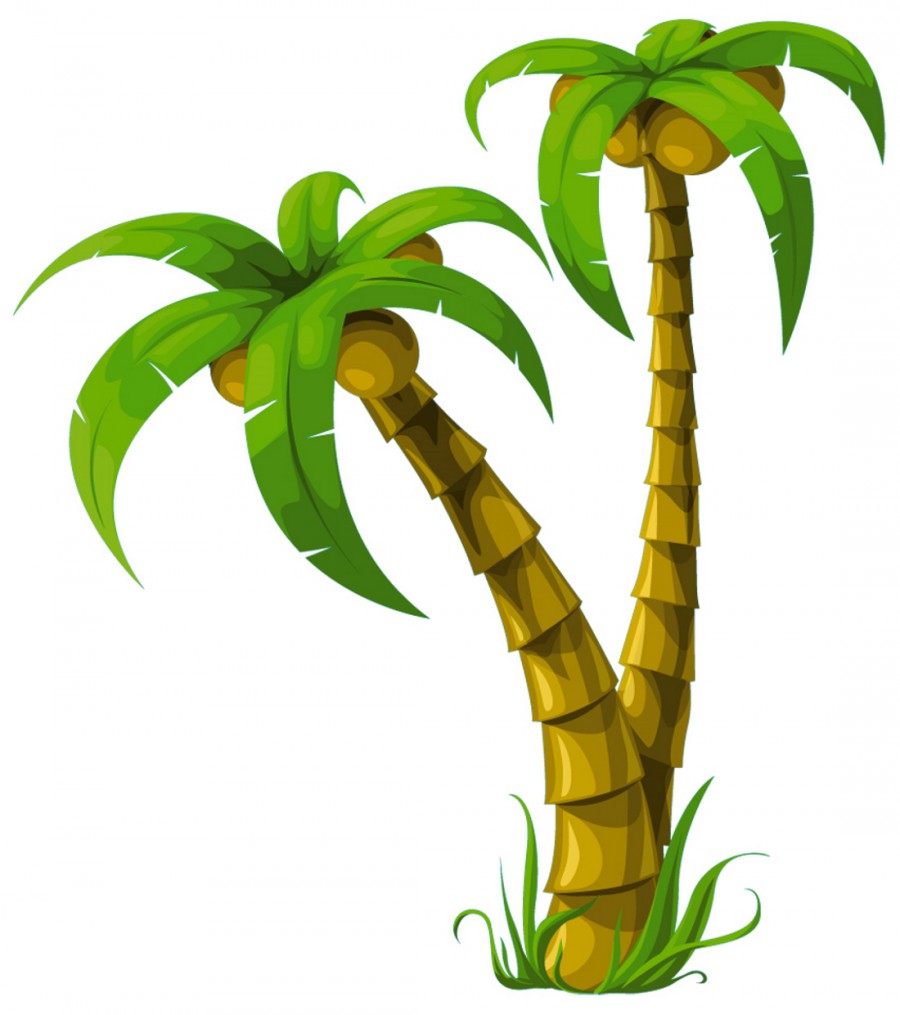 Пальмы с кокосовыми орехами - картинка №13368