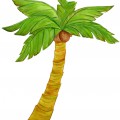 Прекрасная кокосовая пальма - картинка №10374