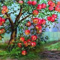 Старая яблоня - картинка №13789