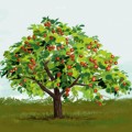 Яблоня в поле - картинка №9578