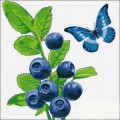 Синяя черника с бабочкой - картинка №10719