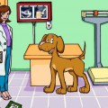 Женщина ветеринар в рабочем кабинете - картинка №10149