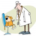 Собака с градусником и ветеринар - картинка №11827