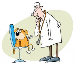 Собака с градусником и ветеринар - картинка					№11827