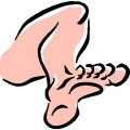 Нога вид снизу - картинка №11053