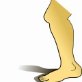 Нога мужчины - картинка №11781