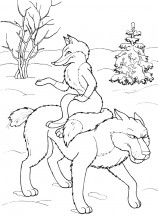 Лиса едет на волке - раскраска					№657
