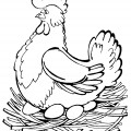 Курочка Ряба сидит на яйцах - раскраска №724
