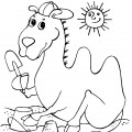 Верблюд в песочнице - раскраска №1103