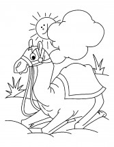 Верблюд отдыхает - раскраска					№1106