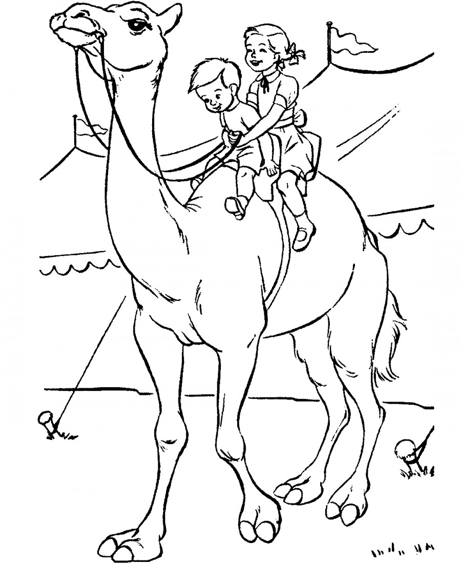Верблюд с детьми - раскраска №1110