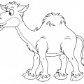 Кудлатый верблюд - раскраска №1114