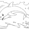 Дельфин плескается - раскраска №1141