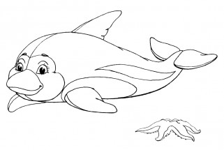 Дельфиненок и морская звезда - раскраска					№1142
