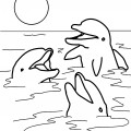 Семья дельфинов играет в воде - раскраска №1145