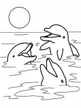 Семья дельфинов играет в воде - раскраска					№1145
