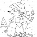 Ежик на лыжах - раскраска №1151