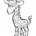 Смешной жираф - раскраска №1192