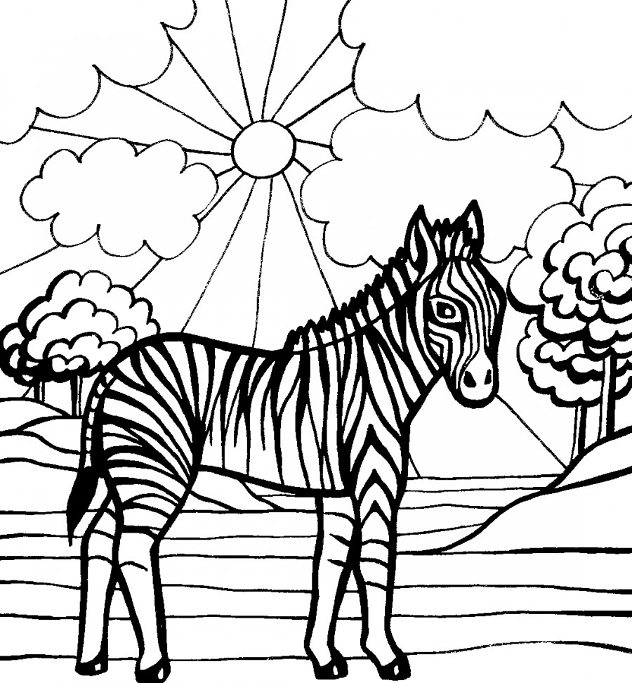 Зебра и солнышко - раскраска №1201
